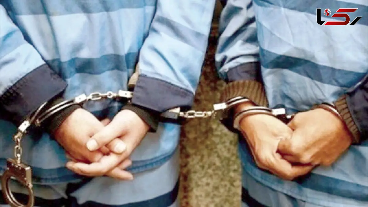 پایان سرقت‌های شبانه از کامیون‌ها در زیدآباد / باند سرقت کابل ABS به دام پلیس افتاد