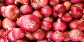 پیاز هم به بورس رسید