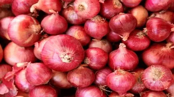 پیاز هم به بورس رسید