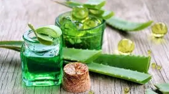 درمان یک بیماری پوستی با آلوئه ورا
