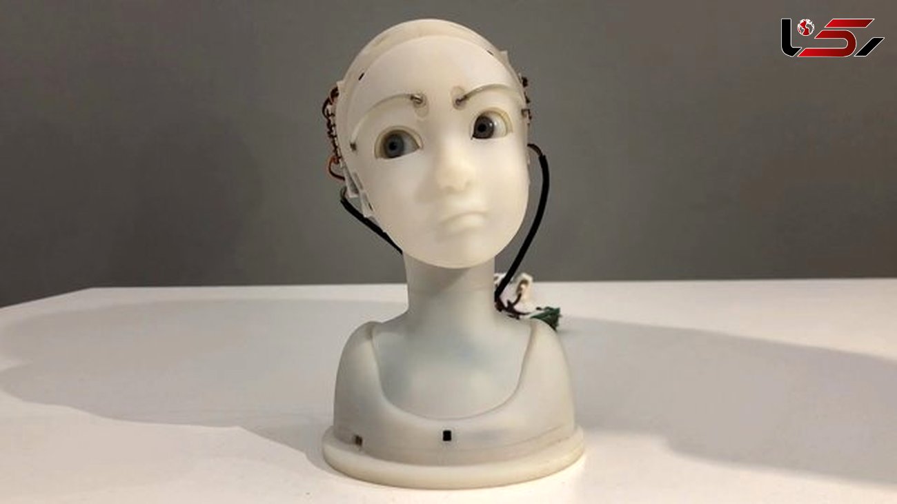 ربات عروسکی عملکردی شبیه به انسان دارد