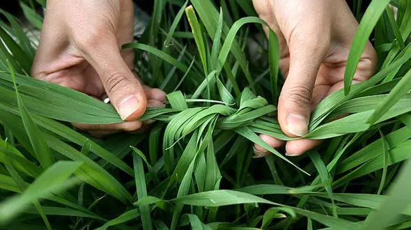 فلسفه سیزده به در چیست؟