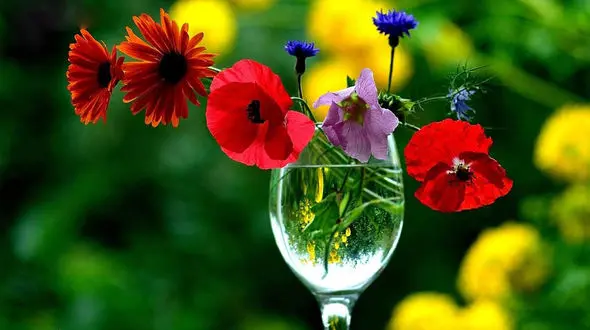 فال ابجد امروز / 13 مهر ماه + فیلم 