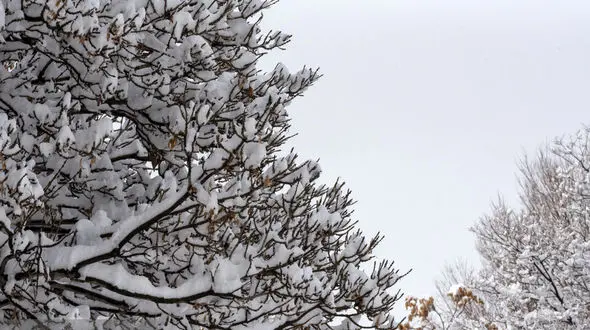 ارسباران در آغوش زمستان + فیلم