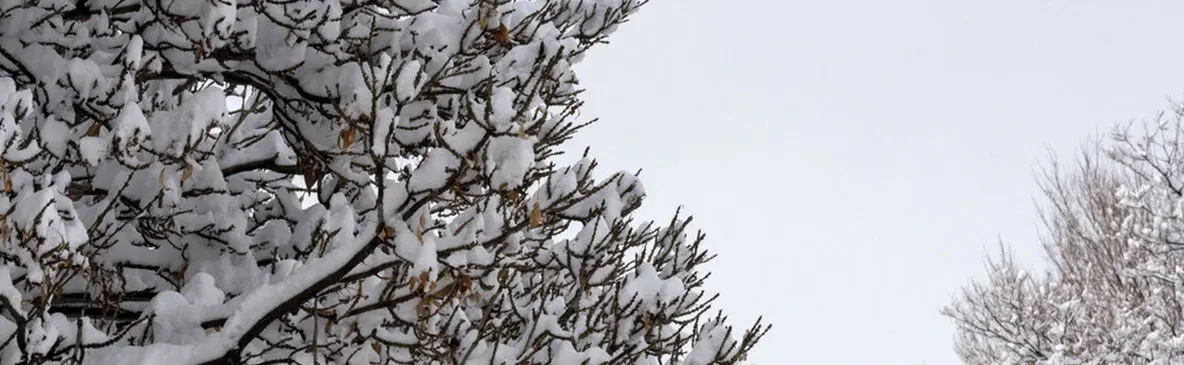 ارسباران در آغوش زمستان + فیلم