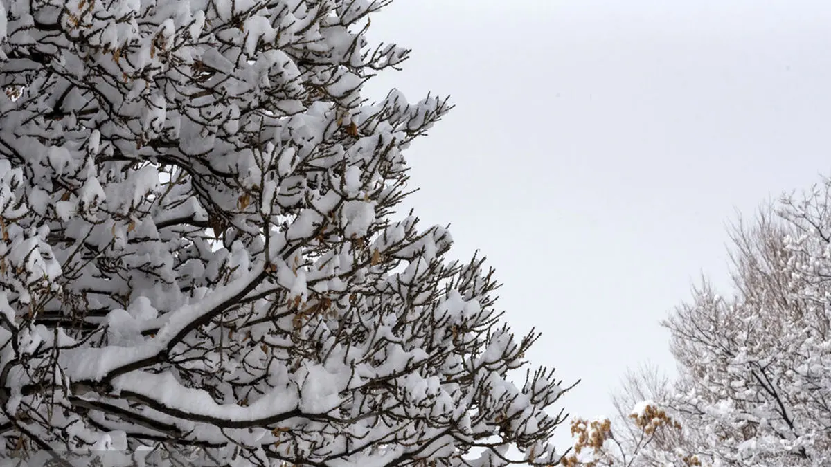 ارسباران در آغوش زمستان
