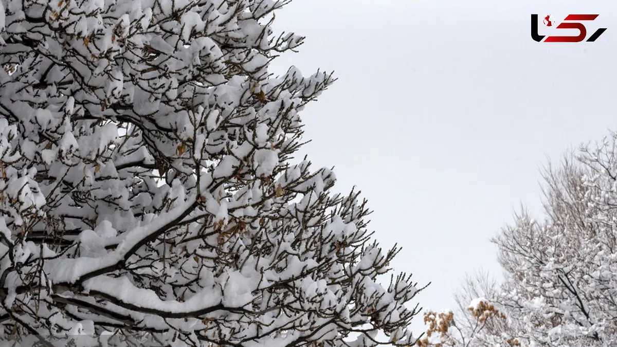 ارسباران در آغوش زمستان + فیلم