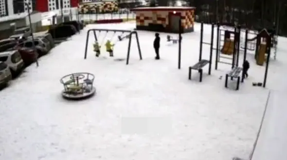 فیلم وحشتناک از تصادف زن جوان با 2 کودک در پارک / پدر فداکار خودش را فدای بچه ها کرد