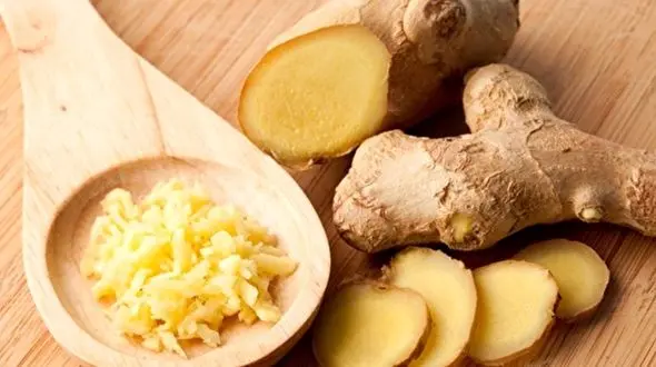 نقش زنجبیل در کاهش اشتها/مبتلایان به اختلالات خونی در مصرف این گیاه دقت کنند