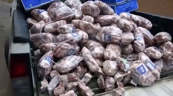 معدوم‌سازی 700 کیلوگرم گوشت فاسد در زاهدان / در یک تالار پذیرایی کشف شد + عکس