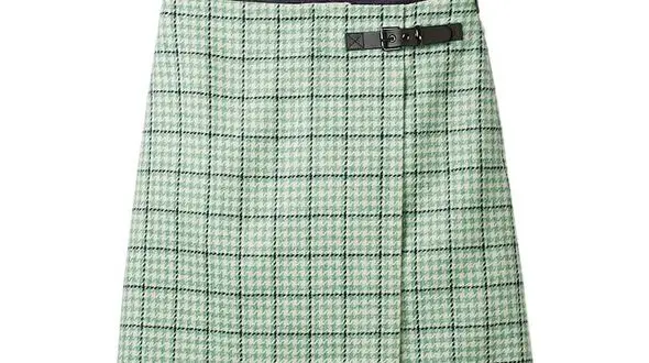 دامن های 225 پوندی برای زنان شیک پوش+تصاویر