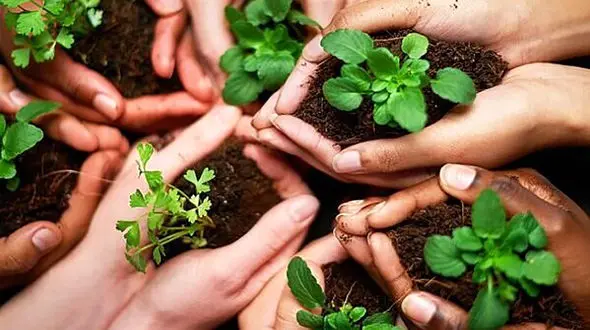 صنعت سبز؛ حلقه مفقوده تحقق هوای پاک در ایران