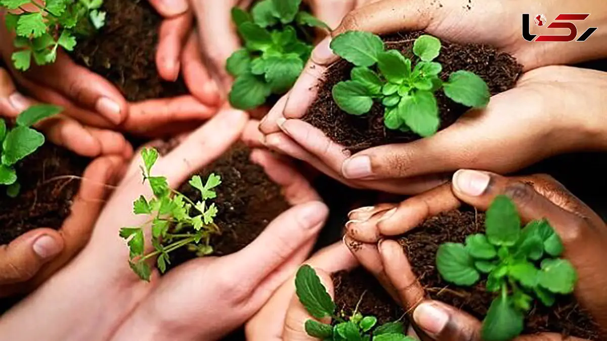 صنعت سبز؛ حلقه مفقوده تحقق هوای پاک در ایران