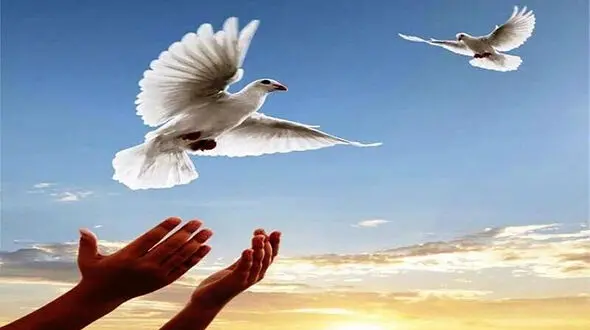 بخشش مردی که دختر مورد علاقه‌اش را کشت 