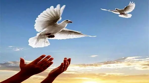 گذشت مادرانه به حرمت اهل بیت جوانی را زنده نگه داشت