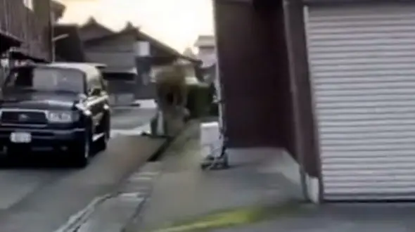 مستحکم بودن ساختمان ها در حین زلزله و بی احتیاطی تماشاگر در حین مسابقه