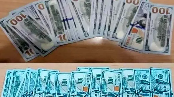 بازداشت مرد خارجی با دلارهای تقلبی در گیلان / پلیس فاش کرد