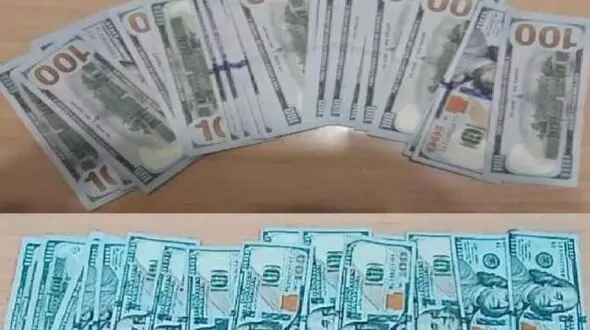 بازداشت مرد خارجی با دلارهای تقلبی در گیلان / پلیس فاش کرد