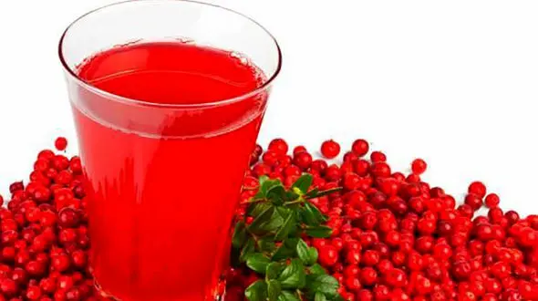 خانم ها زرشک بخورید / زرشک دشمن سرطان پستان است