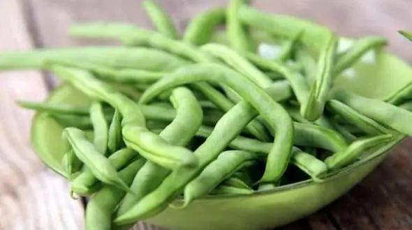 خواص لوبیا سبز /اگر پوکی استخوان دارید بخوانید