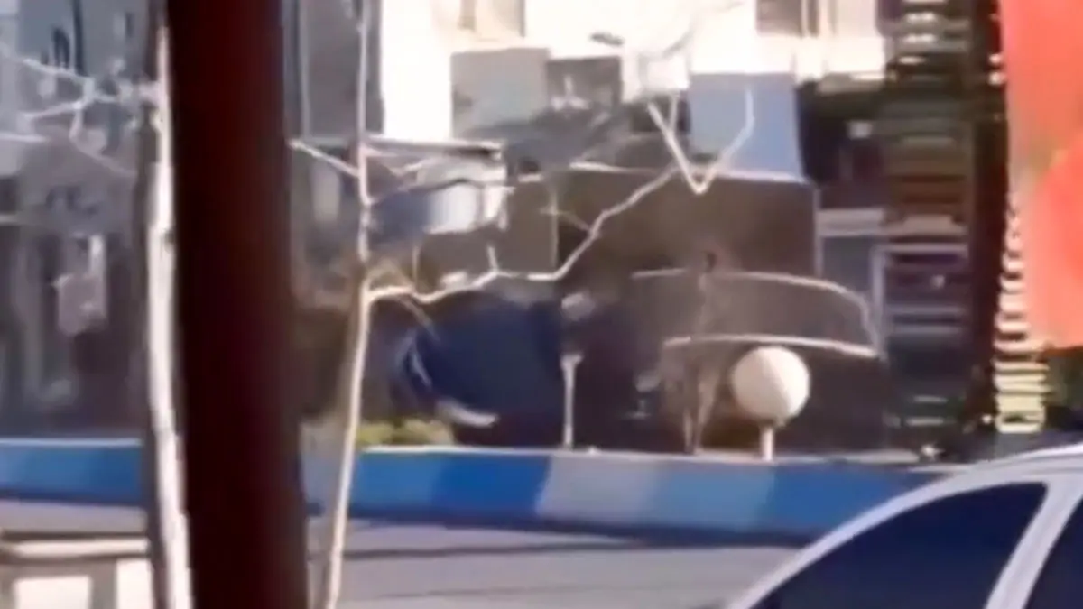 فیلم صحنه هالیودی پرواز سانتافه در رویان شهرستان نور