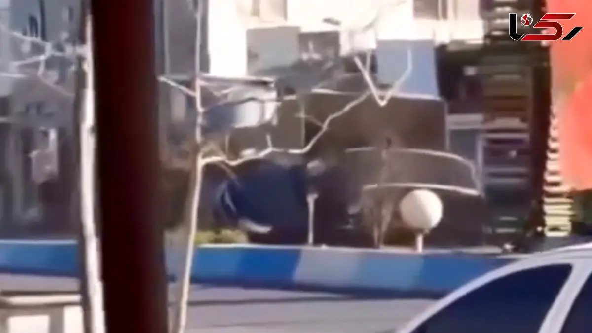 فیلم صحنه هالیودی پرواز سانتافه در رویان شهرستان نور