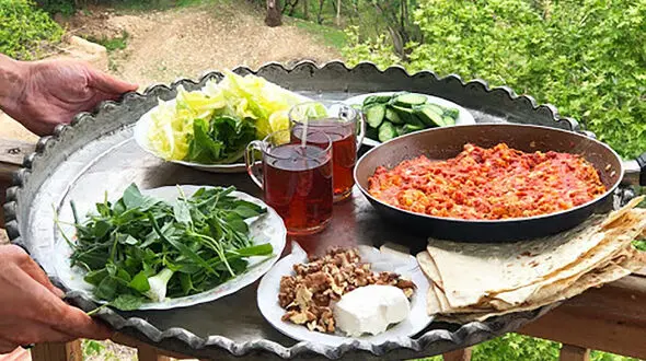 جلوگیری از بیماری روده ای در سفر با این غذاها