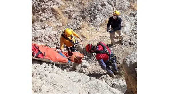 پسته وحشی مرگ فجیع رستم امرایی را رقم زد + عکس