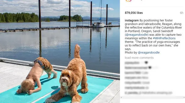 عکس منتخب روز اینستاگرام میلیون ها بار دیده شد 