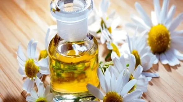 راز داشتن موهای نرم و لطیف با این مواد طبیعی