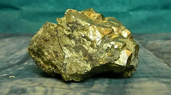 گنجی که این مرد پیدا کرد از طلا هم ارزشمند تر است / زندگی اش زیر و رو شد!