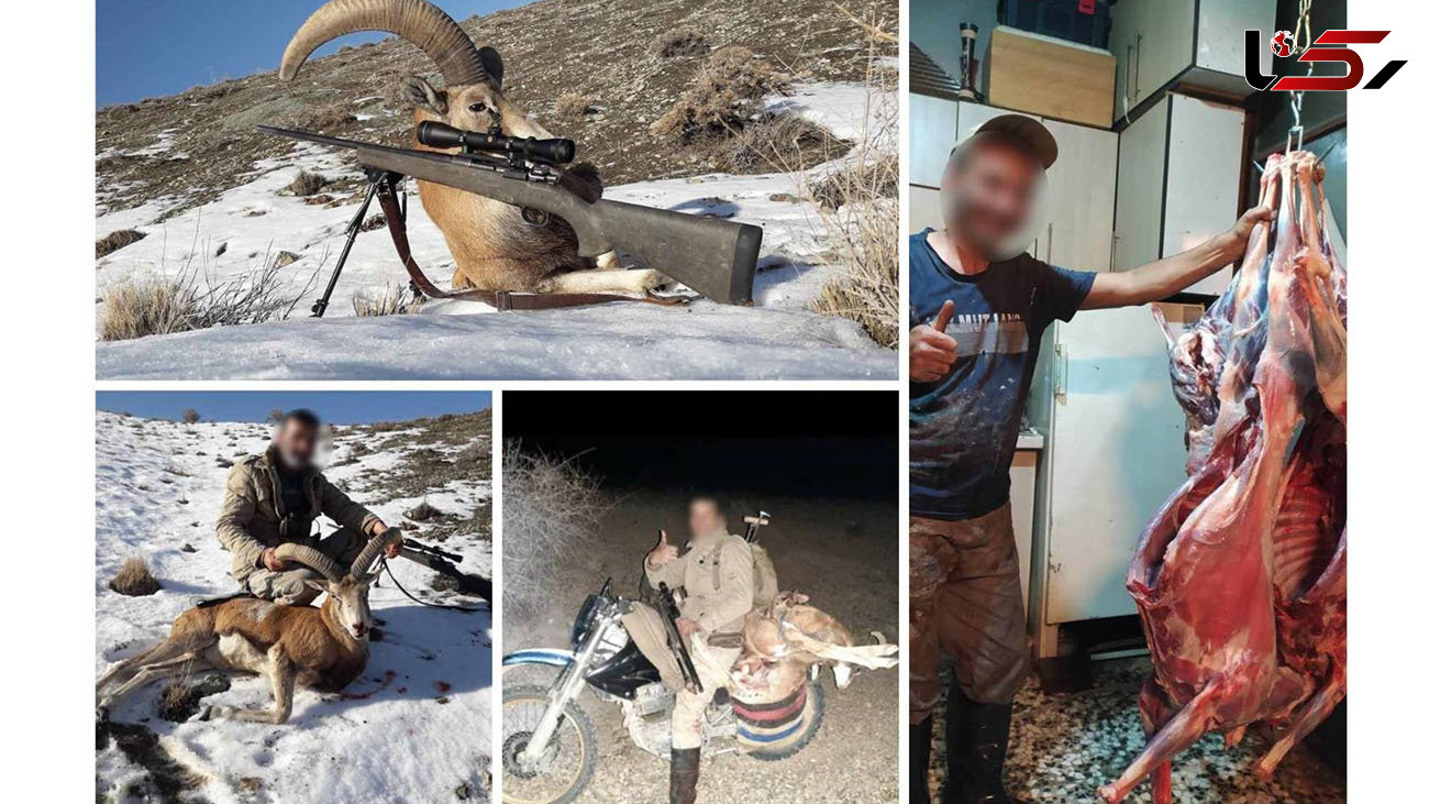 بازداشت 14 شکارچی بی رحم و مسلح در مازندران + عکس های دلخراش