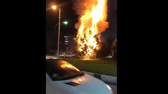فیلم آتش گرفتن درخت در قم 