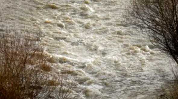 وحشت در رودخانه تنکابن / عملیات نفسگیر نجات مرد گرفتار در رودخانه تنکابن را ببینید