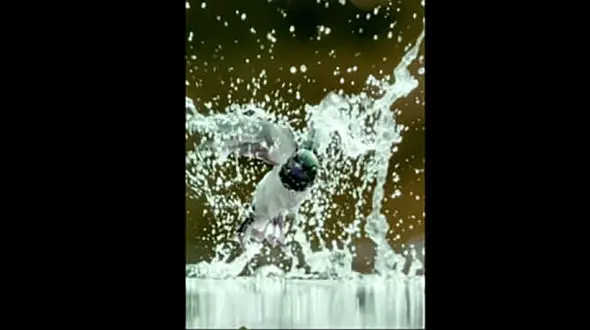 شکار پرندگان توسط ببر ماهی + فیلم