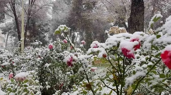 فال ابجد امروز / 6 دی 