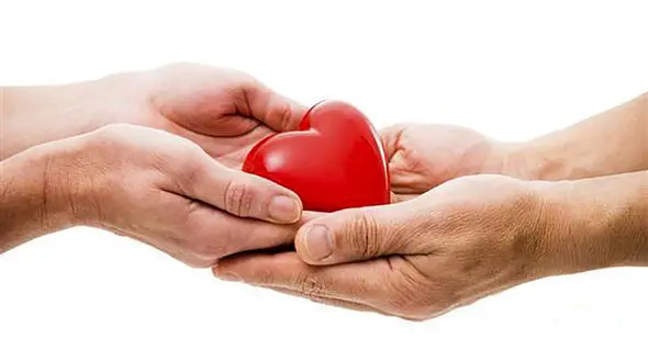 کبری علیمردان در مشهد فرشته نجات شد / همه برای او گریستند