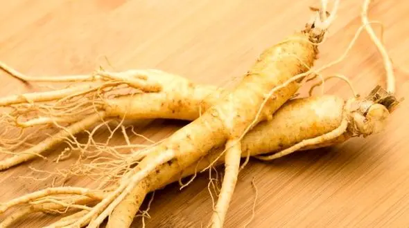 معجزات این گیاه شفابخش فراموش نشدنی است!/کاهش استرس با این گیاه