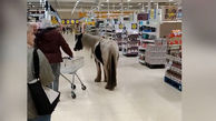  فیلم شوک آور از ورود ناگهانی اسب به فروشگاه زنجیره ای / همه وحشت کردند
