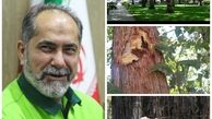 اجرای عملیات مبارزه با آفات در عرصه‌های فضای سبز شهر اصفهان