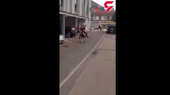 رفتار جالب یک اسب با گروهی از مردان+فیلم