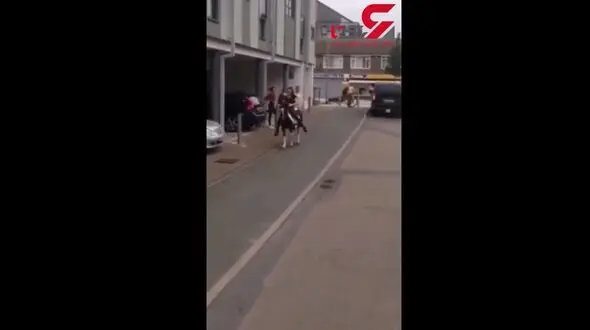 رفتار جالب یک اسب با گروهی از مردان+فیلم