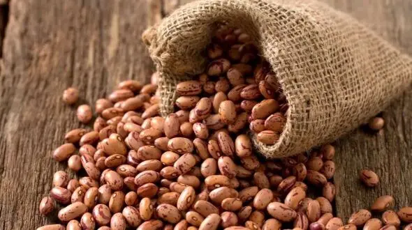 لوبیا چیتی در یک سال ۲۰۱ درصد گران شد + جدول آخرین قیمت اقلام خوراکی