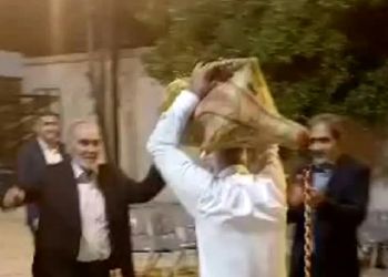 آواز باشکوه پیرمرد نی انبان رو گرفته سرش چه رقص بندری پر شوری تو عروسی میکنه آخر سرخوشی
