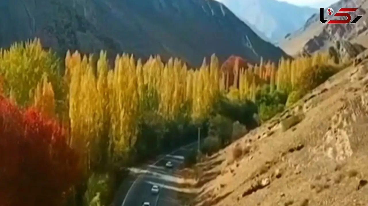 پاییز رویایی در جاده کرج - کندوان؛ زیبایی بی‌ پایان طبیعت + فیلم