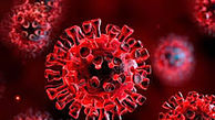 جهش ویروس کرونا صحت دارد؟ / بیماری خطرناک تر در کمین است ؟