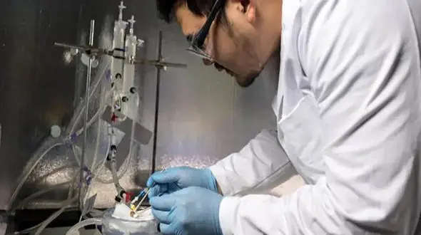 اولین پیوند عضو بعد از 100 روز نگهداری کلیه