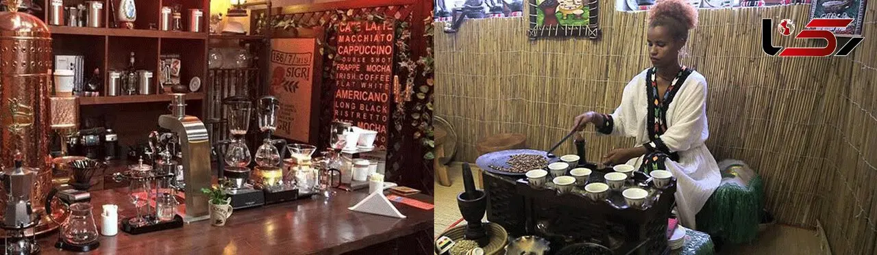 موزه ای با طعم قهوه! +عکس 