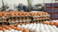 در صورت تامین نشدن خوراک دام قیمت تخم‌مرغ افزایش می‌یابد