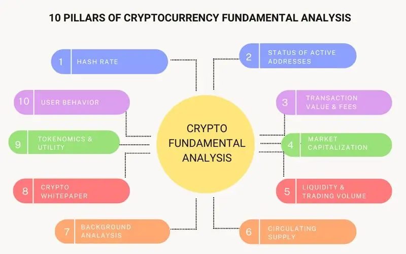 تحلیل فاندامنتال؛ سنجش ارزش واقعی و درک عوامل بنیادین